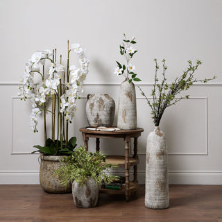 Lucidora - Large White Orchid In Antique Stone Pot - Potted Plants