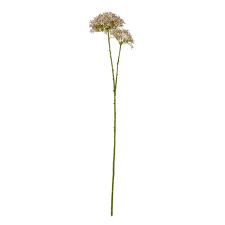 Lucidora - Lilac Crown Hydrangea Stem - Single Stems