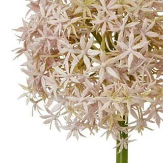 Lucidora - Lilac Medium Allium Stem - Single Stems