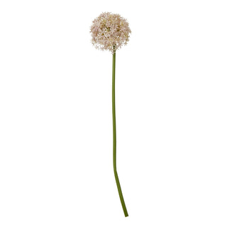 Lucidora - Lilac Medium Allium Stem - Single Stems
