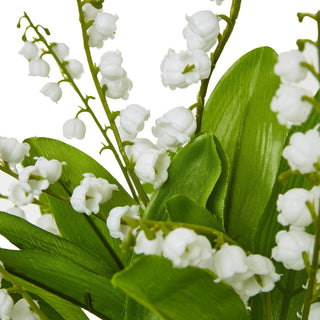 Lucidora - Lily Of The Valley Bunch - Single Stems