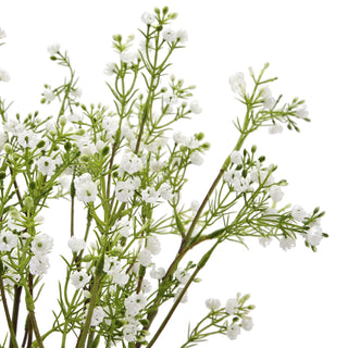 Lucidora - Lily Of The Valley - Single Stems