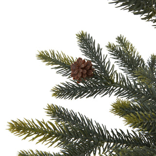 Lucidora - Medium Spruce Tree With Wicker Basket - Potted Trees