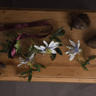 Lucidora - Passion Flower Spray - Single Stems