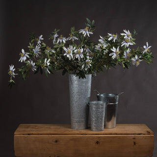 Lucidora - Passion Flower Spray - Single Stems