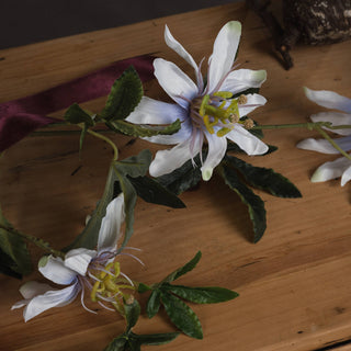 Lucidora - Passion Flower Spray - Single Stems