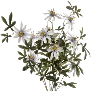 Lucidora - Passion Flower Spray - Single Stems