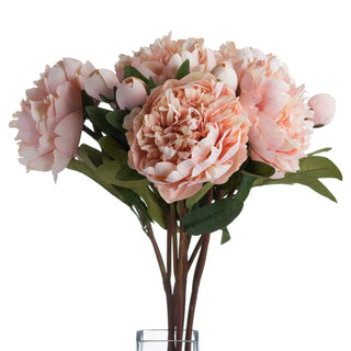 Lucidora - Peach Peony Rose - Single Stems