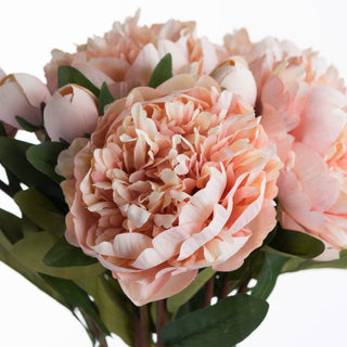 Lucidora - Peach Peony Rose - Single Stems