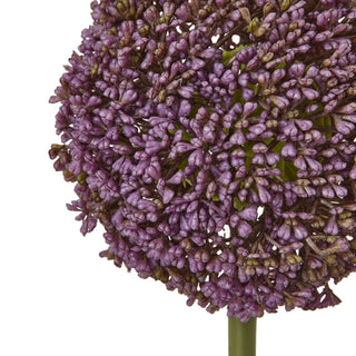 Lucidora - Purple Allium Stem - Single Stems