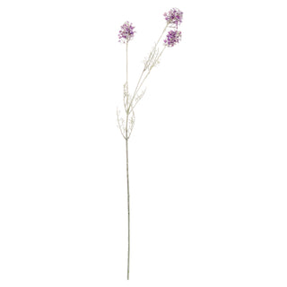 Lucidora - Purple Meadow Flower - Single Stems