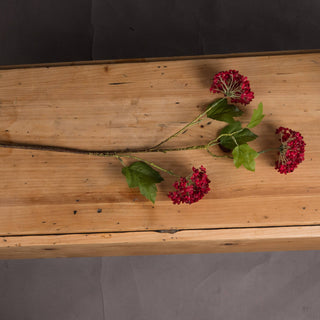 Lucidora - Red Autumnal Viburnum - Single Stems