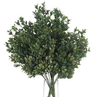 Lucidora - Red Tipped Leaf Spray - Single Stems