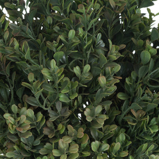 Lucidora - Red Tipped Leaf Spray - Single Stems