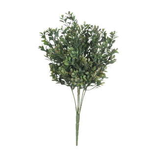 Lucidora - Red Tipped Leaf Spray - Single Stems