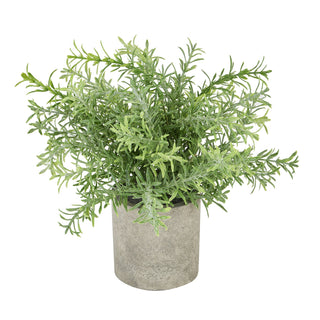 Lucidora - Rosemary Plant In Stone Effect Pot - Potted Plants