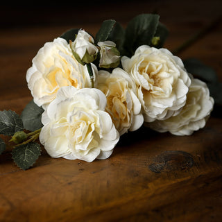 Lucidora - Soft White Cottage Rose Stem - Single Stems