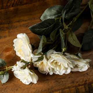 Lucidora - Soft White Cottage Rose Stem - Single Stems