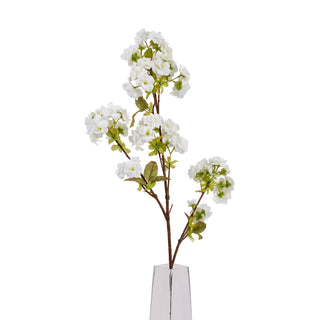 Lucidora - Tall White Blossom - Single Stems