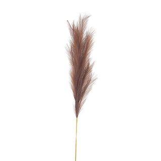 Lucidora - Taupe Large Faux Pampas Grass Stem - Single Stems