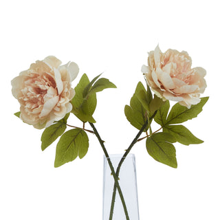 Lucidora - The Natural Garden Collection Blush Peony - Single Stems