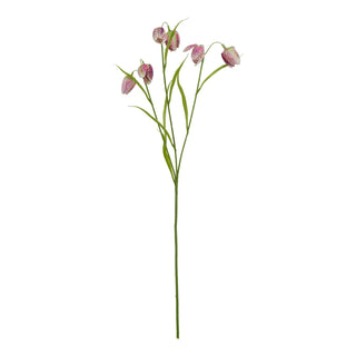 Lucidora - The Natural Garden Collection Purple Fritillaria Stem - Single Stems