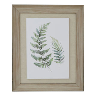 Lucidora - Watercolour Fern Duo In Washed Wood Frame - Picture Frames