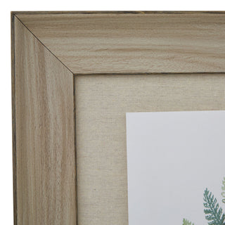 Lucidora - Watercolour Fern Duo In Washed Wood Frame - Picture Frames