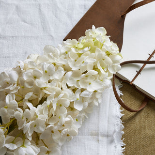 Lucidora - White Spear Hydrangea - Single Stems