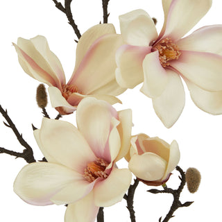 Close-up detail of the artificial magnolia flowers, showing pale cream petals with pink blush and fuzzy brown buds.