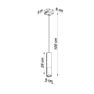 Diagram showing the pendant light dimensions: 100 cm drop, 29 cm lamp body, 6 cm width.