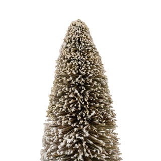 Close detail of the cone tree's texture, showing the brown bottle brush fibres dusted with white frost.