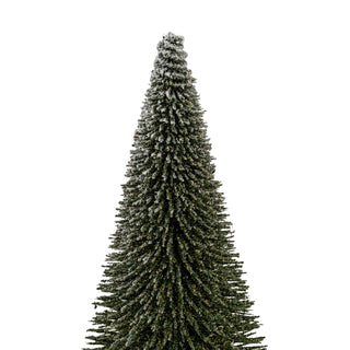 Detail shot showing the dense, dark green bristles and white frosted tips of the spindle tree.