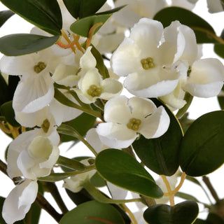 Close-up of artificial white mock orange flowers with yellow-green centres and dark green leaves.
