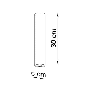 Diagram showing the cylindrical light fixture dimensions: 30 cm tall and 6 cm wide.
