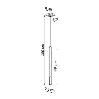 Diagram detailing pendant light dimensions: 100 cm total height, 49 cm fixture length, 2.5 cm diameter.