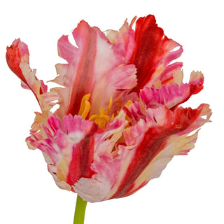 Close-up of the artificial parrot tulip flower head showing ruffled petals and yellow central stamen detail.