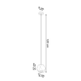Diagram showing the 12 cm wood shade, 120 cm cable and 8 cm ceiling rose.