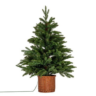 Plain front-on studio shot of the pre-lit artificial fir tree in a brown rattan pot.