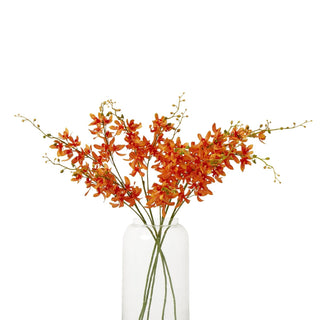 Bunch of vibrant orange cymbidium stems shown in a tall, clear glass vase.