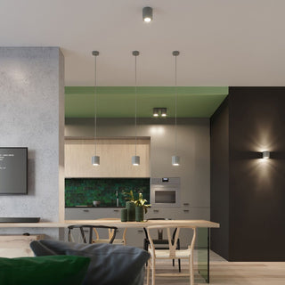 Twin grey ceiling spotlight illuminating a green-ceilinged kitchen area.