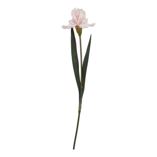 Plain front-on view of a single artificial pale pink iris stem with dark green foliage.