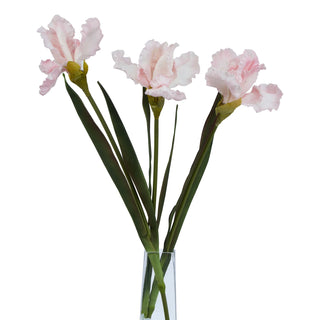 Three artificial pale pink iris stems and dark green foliage in a narrow glass vase.