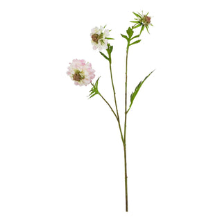 Pale pink artificial scabious stem with three flower heads and green leaves, photographed against white.