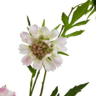 Close detail of the artificial pale pink scabious bloom, highlighting the textured centre and outer petals.