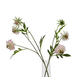 Full artificial scabious stem displayed in a clear glass vase against a white background.