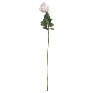 Single artificial palest pink rose stem with dark green leaves and long textured green stalk against white.