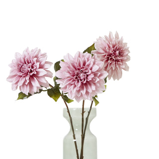 Three pink dahlia stems arranged in a pale green glass vase against a white backdrop.