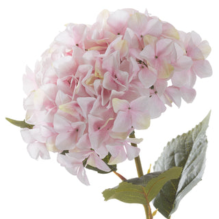 Artificial pink hydrangea flower head and stem with green leaves on white background.