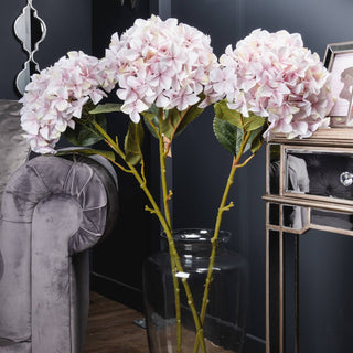 Three pink hydrangea stems in a glass vase, styled in a room with dark walls and grey velvet furniture.